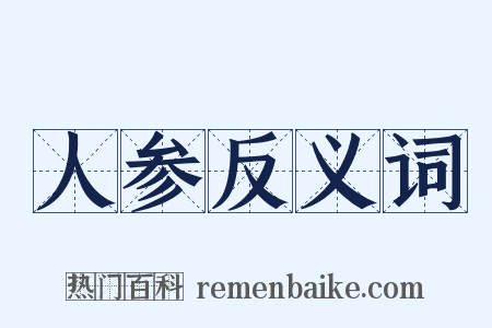 人参反义词是什么意思的图片